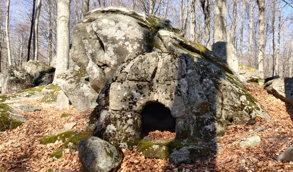 Roberto, guida ambientale del Monte Amiata, racconta l'esperienza di percorrere uno dei suoi tratti preferiti nel bosco.