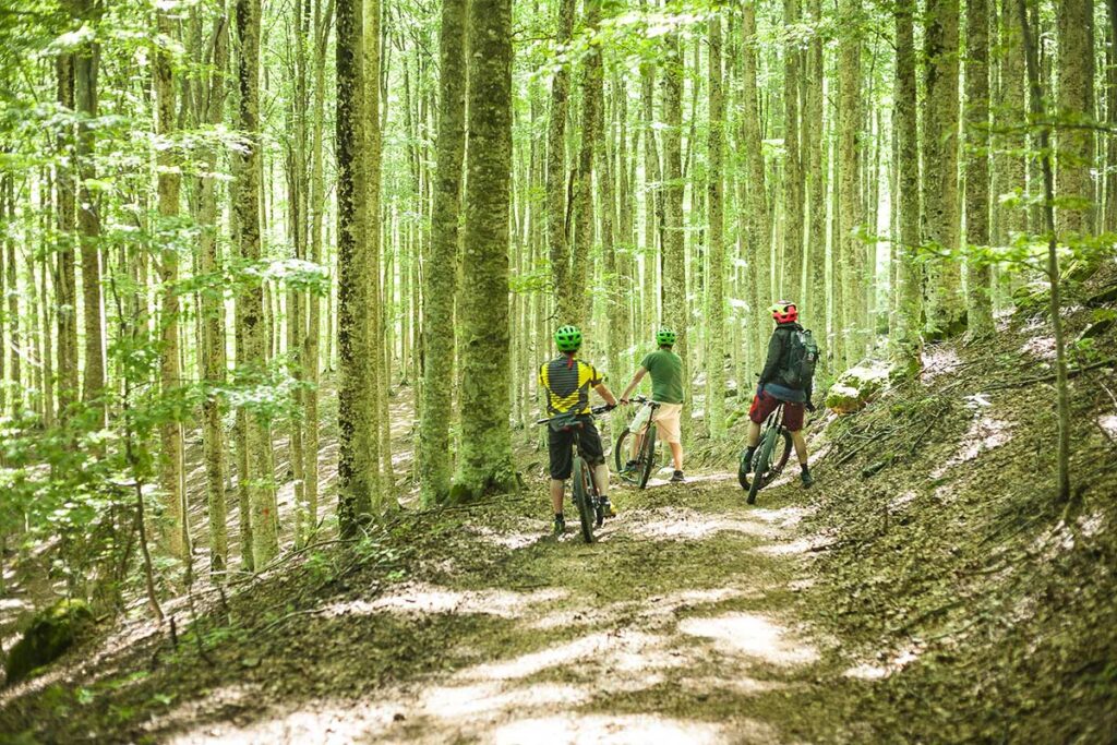 Stefano, guida MTB, ci racconta l'esperienza di uscire in bici fuori stagione quando l'inverno lascia il posto al tepore della rinascita.
Ci da anche un paio di dritte su come gestire al meglio l'uscita.