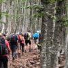 Amiata adventure trek 6 notti, viaggi trekking sul Monte Amiata, Toscana