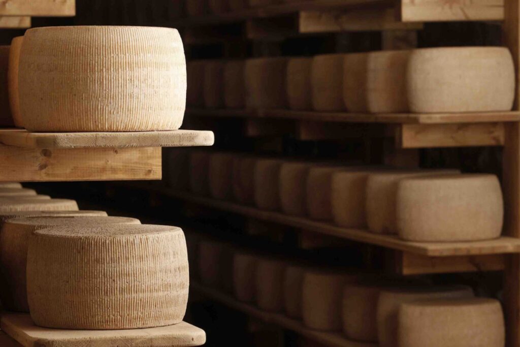 In questo racconto si delineano i principali aspetti che caratterizzano la produzione artigianale del Pecorino DOP sul Monte Amiata.