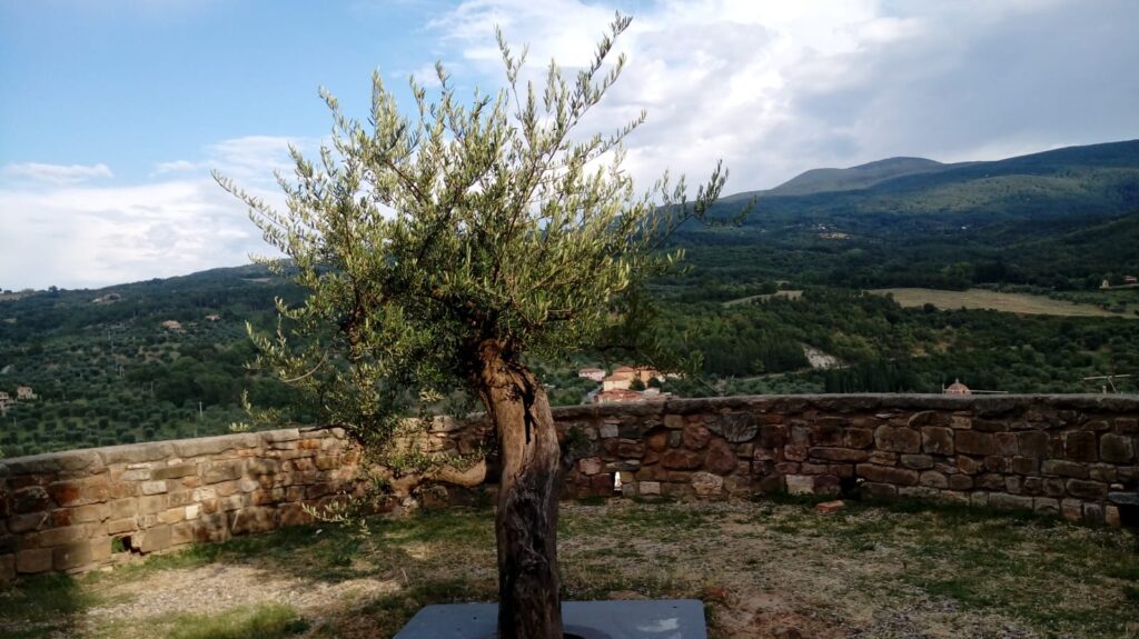 Diego ci racconta il percorso guidato che la Fondazione Le Radici di Seggiano ha ideato e cura per la valorizzazione del territorio.