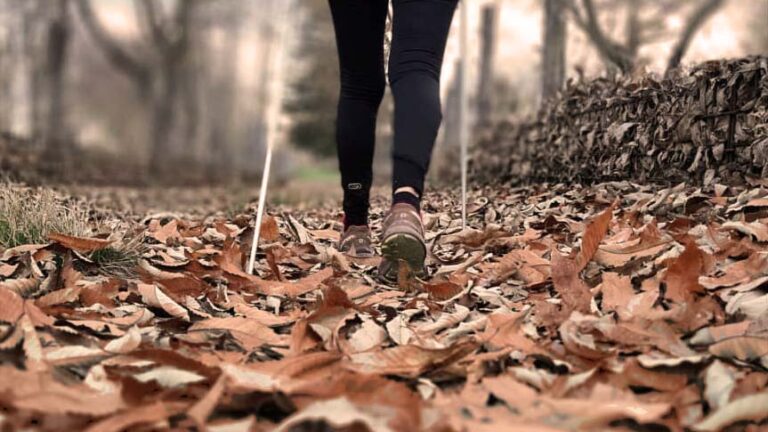 Trekking-Autunno bosco in autunno sul Monte Amiata, Toscana. Trekking in autunno, feste d'autunno.