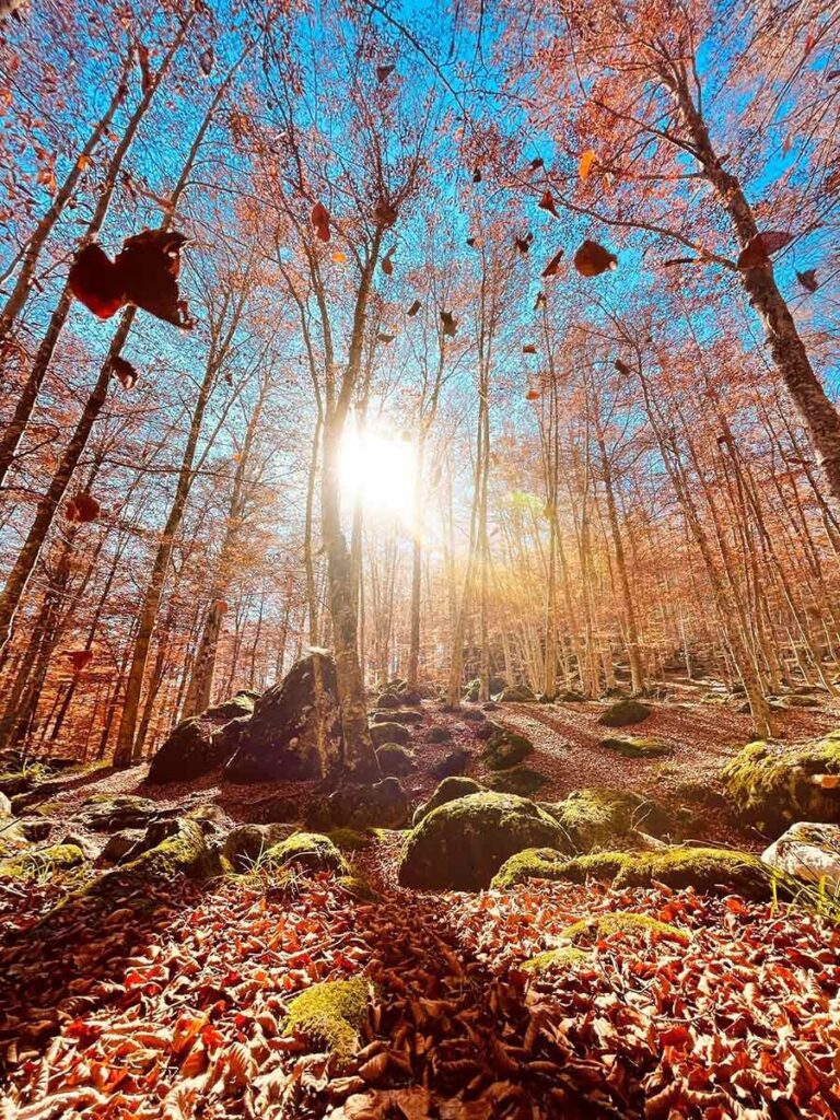 Un racconto visivo per rappresentare a pieno la magia del Foliage sul Monte Amiata