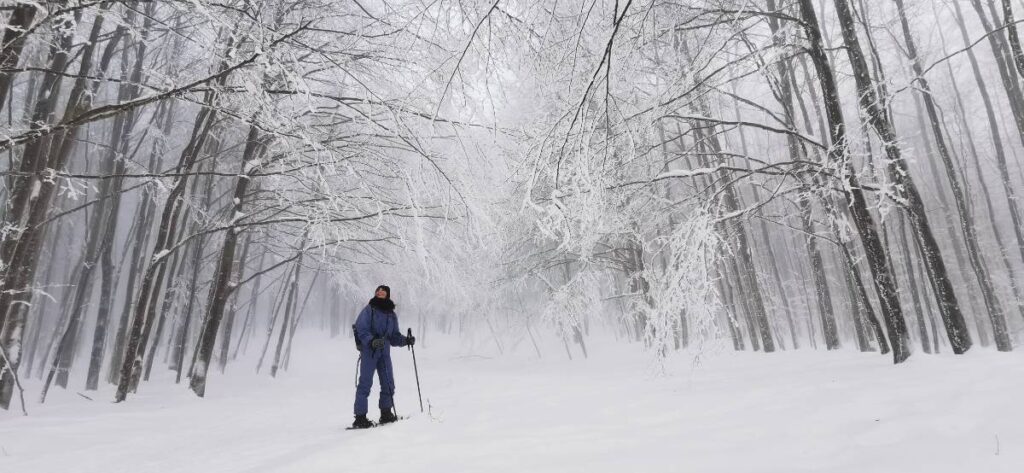 Erika, guida escursionistica locale, ci racconta il fascino di ciaspolare tra i boschi innevati in una giornata di Inverno sul Monte Amiata.