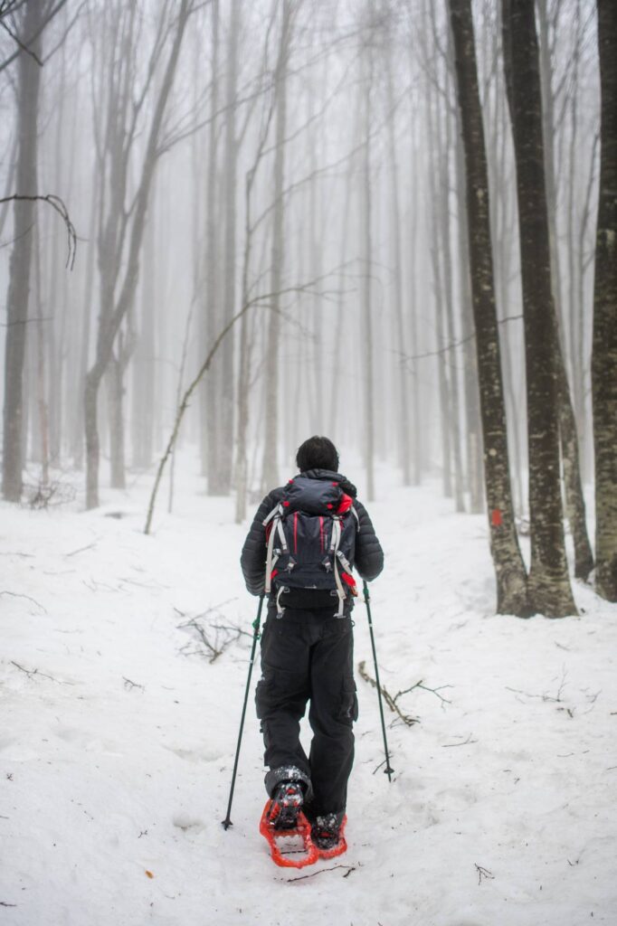 Suggestiva passeggiata nella faggeta innevata del Monte Amiata, in compagnia di una esperta guida ambientale. L'escursione si terrà anche in caso di nevicata leggera ed in presenza di nebbia. In caso...