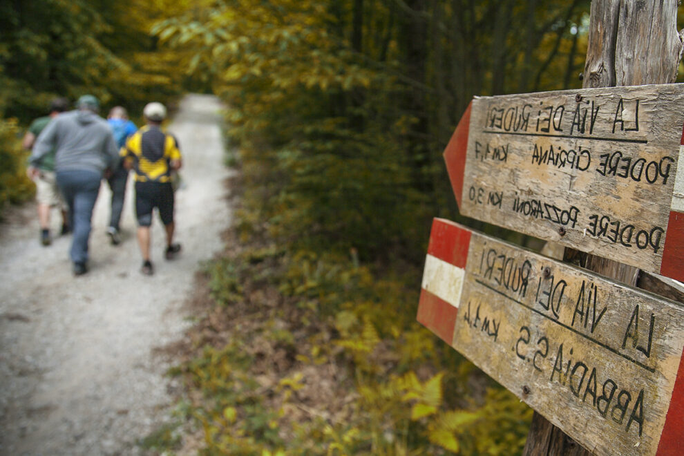 Trekking Monte Amiata, viaggio di gruppo in Toscana, Amiata Trek adventure