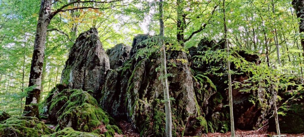 Un'esperienza di trekking guidato in esclusiva e personalizzata alle vostre necessità. Sceglieremo insieme le caratteristiche e la difficoltà del percorso in base alle vostre esigenze. Come funzi...