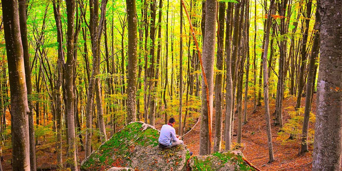 Slow trek e benessere. Trekking e benessere sul Monte Amiata, Toscana. Forest bathing.