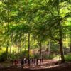 Slow trekking e benessere, Forest bathing sul Monte Amiata, Toscana