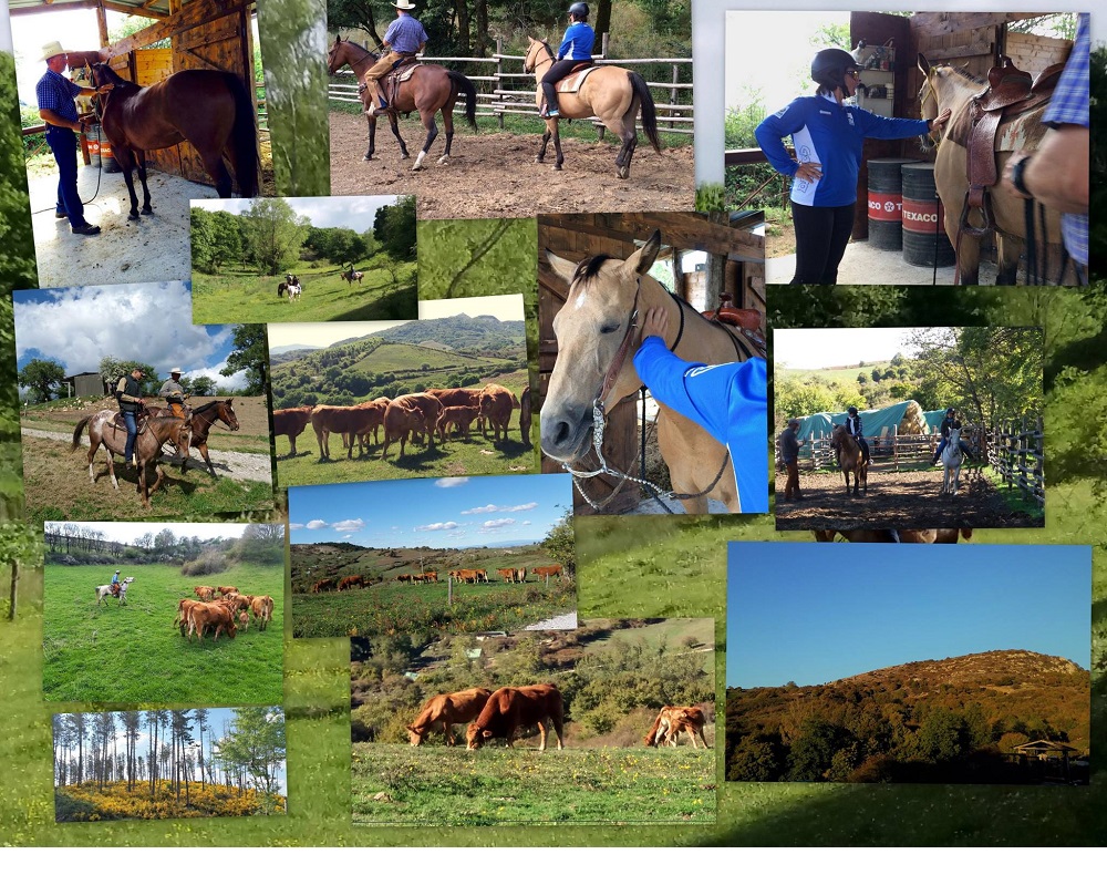 Per chi è già montato a cavallo ed ha un minimo di esperienza, una piccola passeggiata in azienda sarà lideale per ricominciare. Questa esperienza è praticabile dall'età di 10 anni in poi. Solo s...