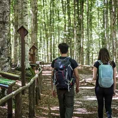 Alla scoperta di un mondo sconosciuto. La Faggeta più grande d'Europa, gli spettacolari castagneti dove si produce la castagna IGP Amiata, i deliziosi borghi storici del Monte Amiata. Regala questo p...