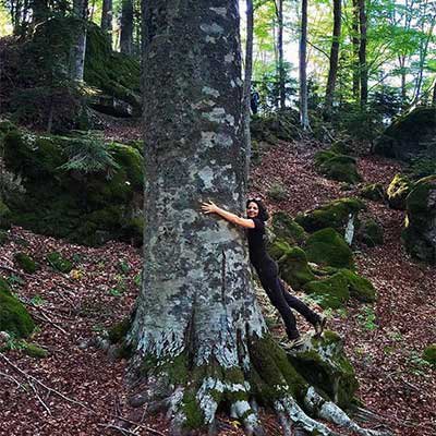 Visiteremo 4 delle 5 aree certificate per l'idoneità salutistica del Monte Amiata (benessere forestale). La Società Macchia Faggeta e il Consorzio Forestale dell'Amiata sono i gestori delle aree pro...