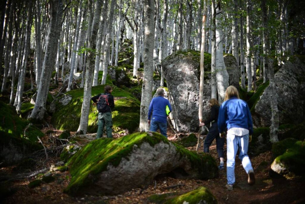 L'Albergo si trova al centro della Faggeta a circa 1400 metri d'altezza. Da qui partono numerosi sentieri e itinerari. Abbiamo una gran conoscenza del territorio e possiamo suggerirvi i percorsi più ...