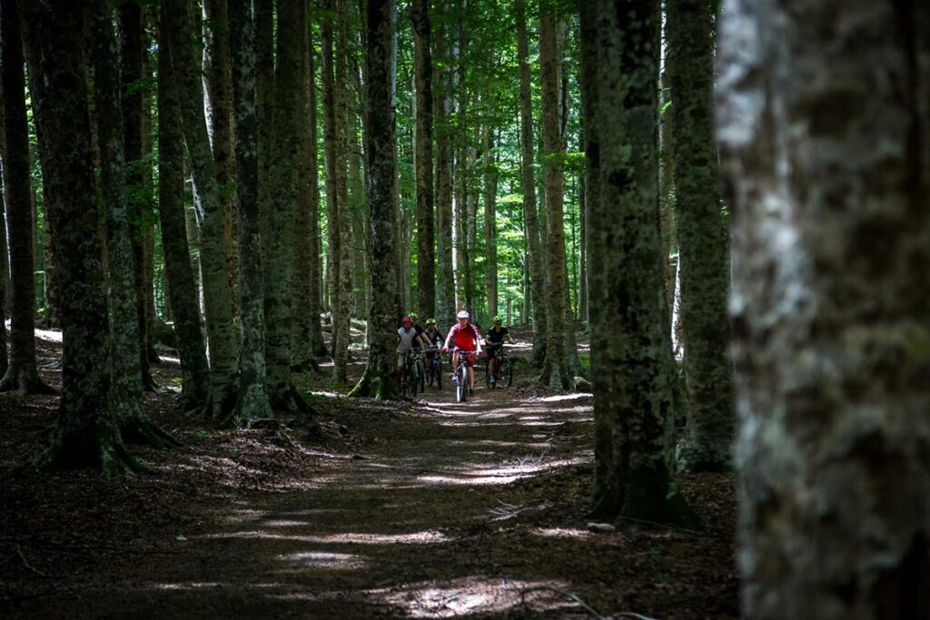 Escursione in bici alla portata di tutti, sul sentiero che collega i poli dell'anello di mezza montagna del Monte Amiata. Il percorso non presenta tratti particolarmente tecnici e si alterna tra asfal...