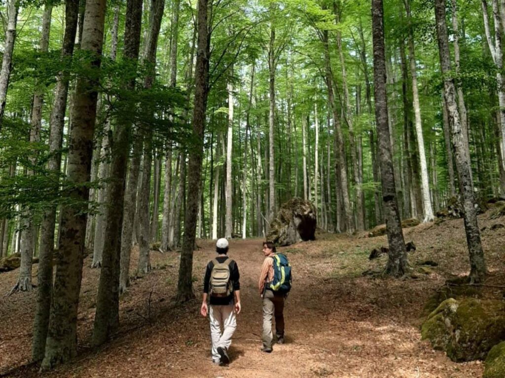 Relax, vino e natura: lesperienza perfetta per ritrovare equilibrio e complicità nel cuore del Monte Amiata. Il pacchetto include: - 2 ore di escursione con guida ambientale in esclusiva per te e da...