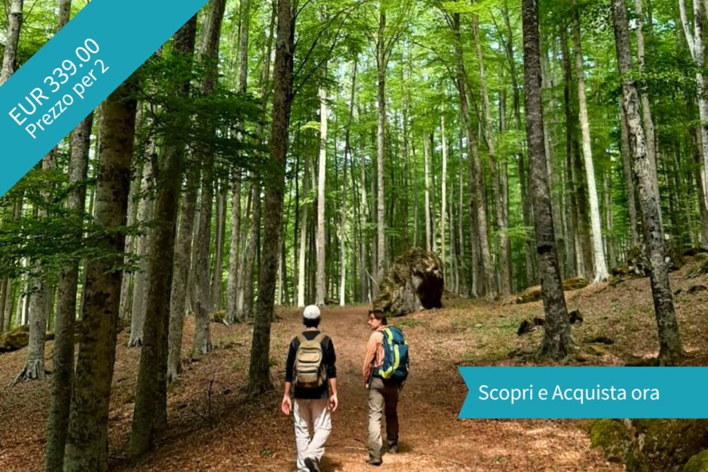 Relax, vino e natura: lesperienza perfetta per ritrovare equilibrio e complicità nel cuore del Monte Amiata. Il pacchetto include: - 2 ore di escursione con guida ambientale in esclusiva per te e da...