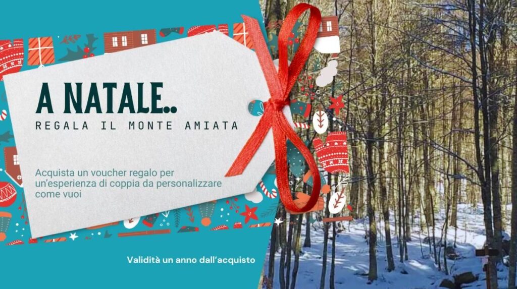 A Natale regale il Monte Amiata: acquista un voucher regale per un daily tour da fare sul Monte Amiata entro un anno dall'acquisto. Il pacchetto include: - Un pranzo per due - Esperienza di coppia a...