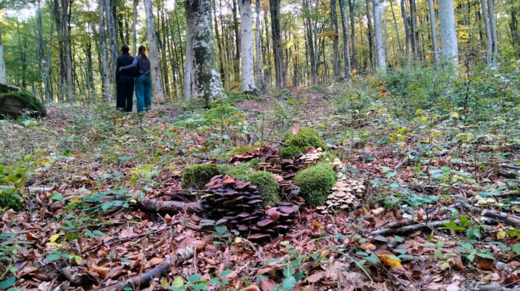 Un'immersione guidata nel silenzio delle faggete certificate del Monte Amiata, seguita da un pranzo per due che celebra i sapori del territorio. Il pacchetto include: - 3 ore di Esperienza guidata di ...