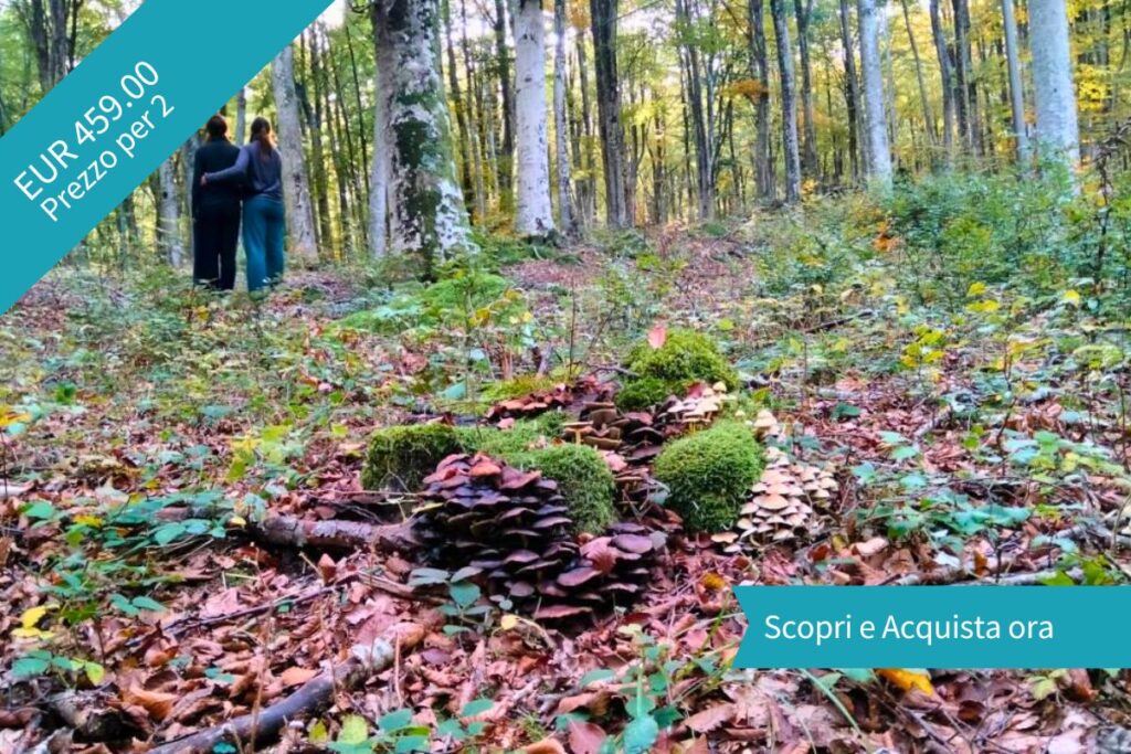 Un'immersione guidata nel silenzio delle faggete certificate del Monte Amiata, seguita da un pranzo per due che celebra i sapori del territorio. Il pacchetto include: - 3 ore di Esperienza guidata di ...