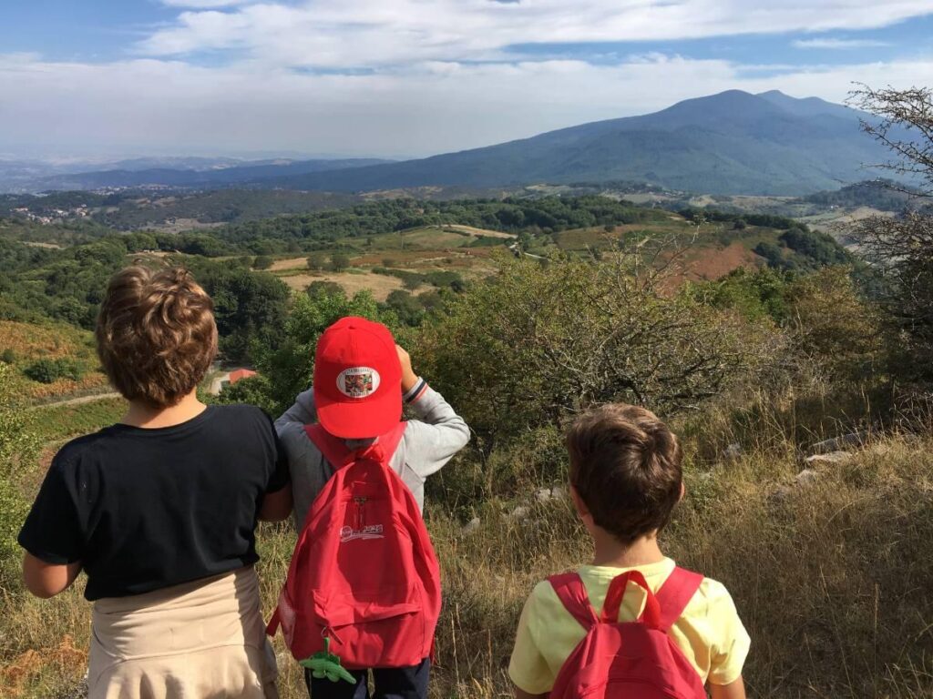Il Parco Faunistico del Monte Amiata è un Giardino zoologico istituito ai sensi del D.Lgs. 73/2005 che si estende per circa 80 ettari all'interno della meravigliosa Riserva Naturale Regionale del Mon...