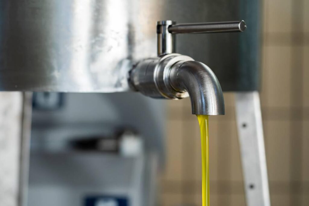 L'esperienza comprende una visita guidata all'interno del frantoio, dove verranno illustrati i processi moderni di produzione dell'olio. Successivamente, nell'adiacente punto vendita, dove e' stata al...