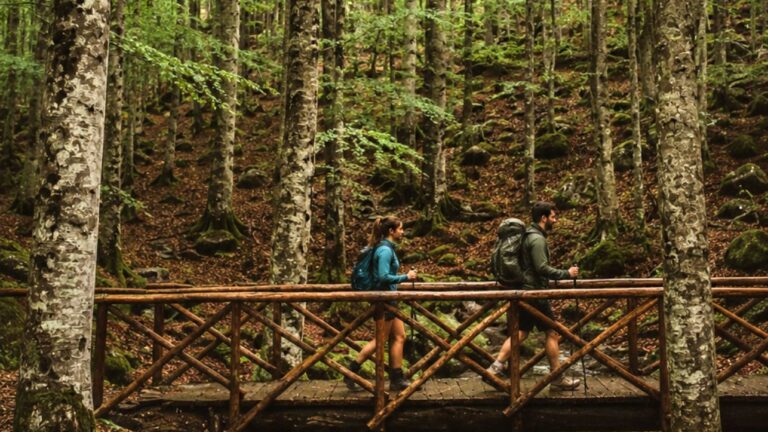 Trekking sul Monte Amiata boschi, borghi e sentieri, faggeta, booking amiata in Toscana