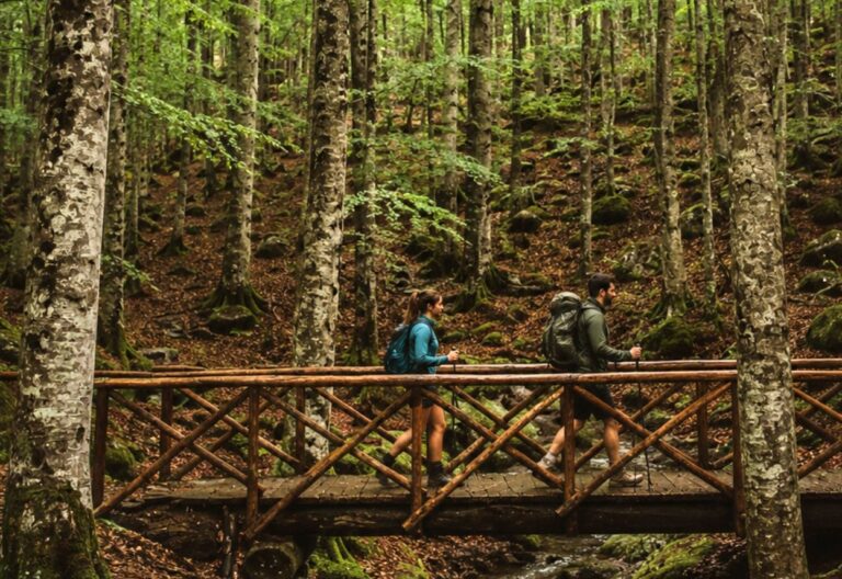 Trekking sul Monte Amiata boschi, borghi e sentieri, faggeta, booking amiata in Toscana
