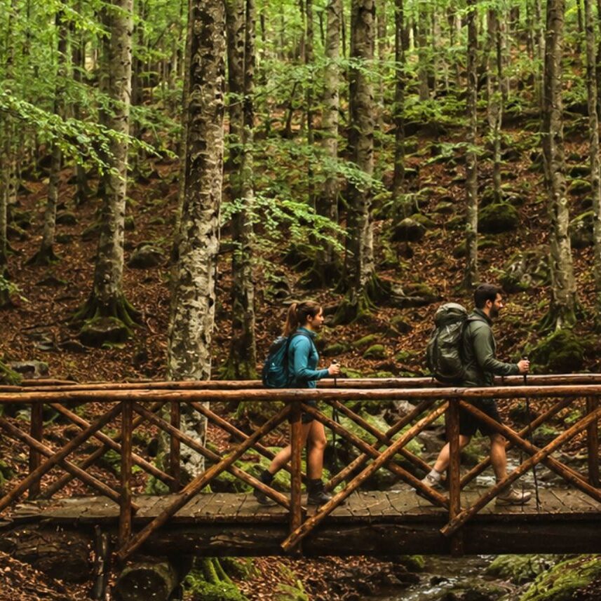 Trekking sul Monte Amiata boschi, borghi e sentieri, faggeta, booking amiata in Toscana