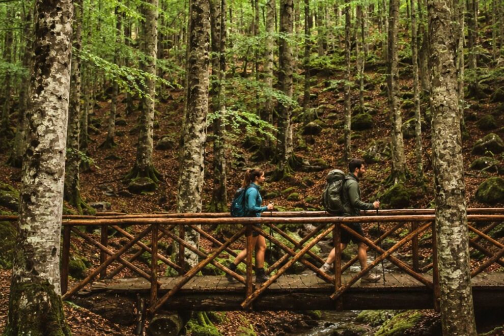 Trekking sul Monte Amiata boschi, borghi e sentieri, faggeta, booking amiata in Toscana