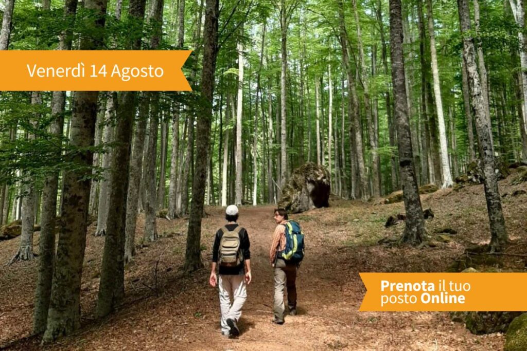 Escursione guidata da epserta guida ambientale locale con partenza e ritorno da e per le Macinaie in cui toccheremo alcuni dei più importanti rifugi del Monte Amiata (no Vetta). Partenza ore 9.00 pr...