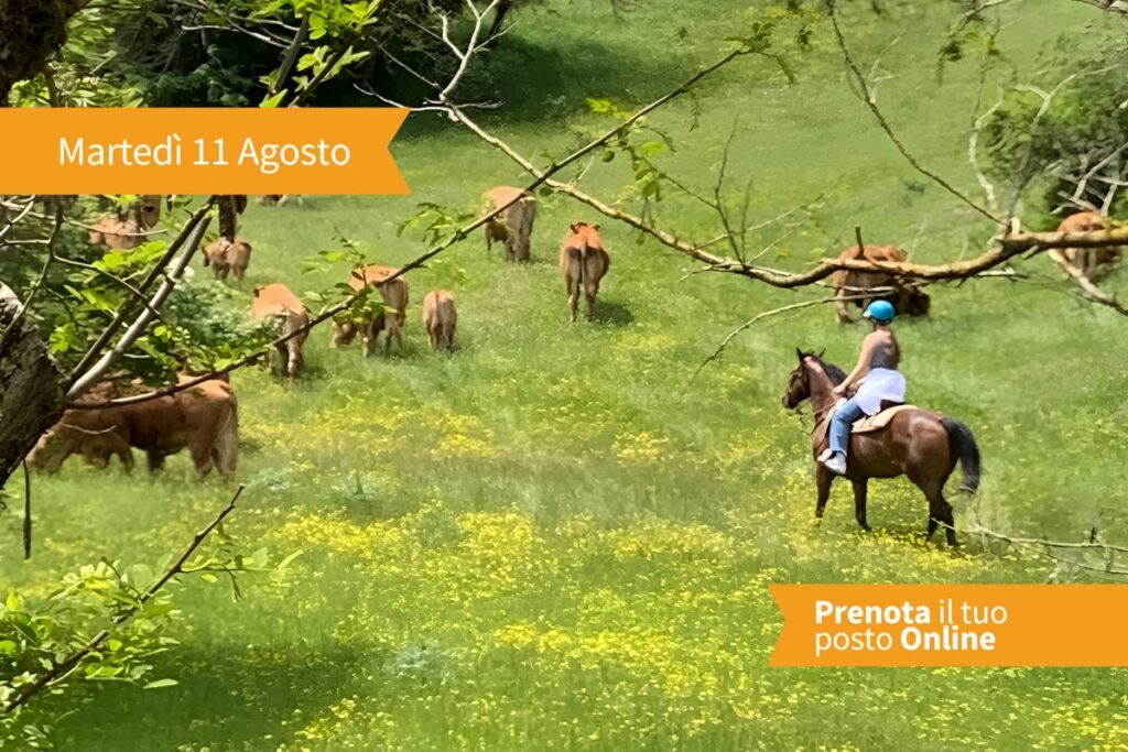 Se sei gia' salito a cavallo, e la solita passeggiata non ti emoziona piu', prova a venire da noi: in mezzo a praterie verdi e profumate, ti insegneremo a guidare una mandria, radunarla o spostarla in...