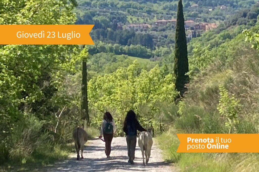 Un'esperienza di lentezza e convivialita', per riscoprire il piacere di vivere con gusto. Il pomeriggio inizia con una piacevole passeggiata in compagnia di Paolo e dei suoi asini. Un percorso facile...