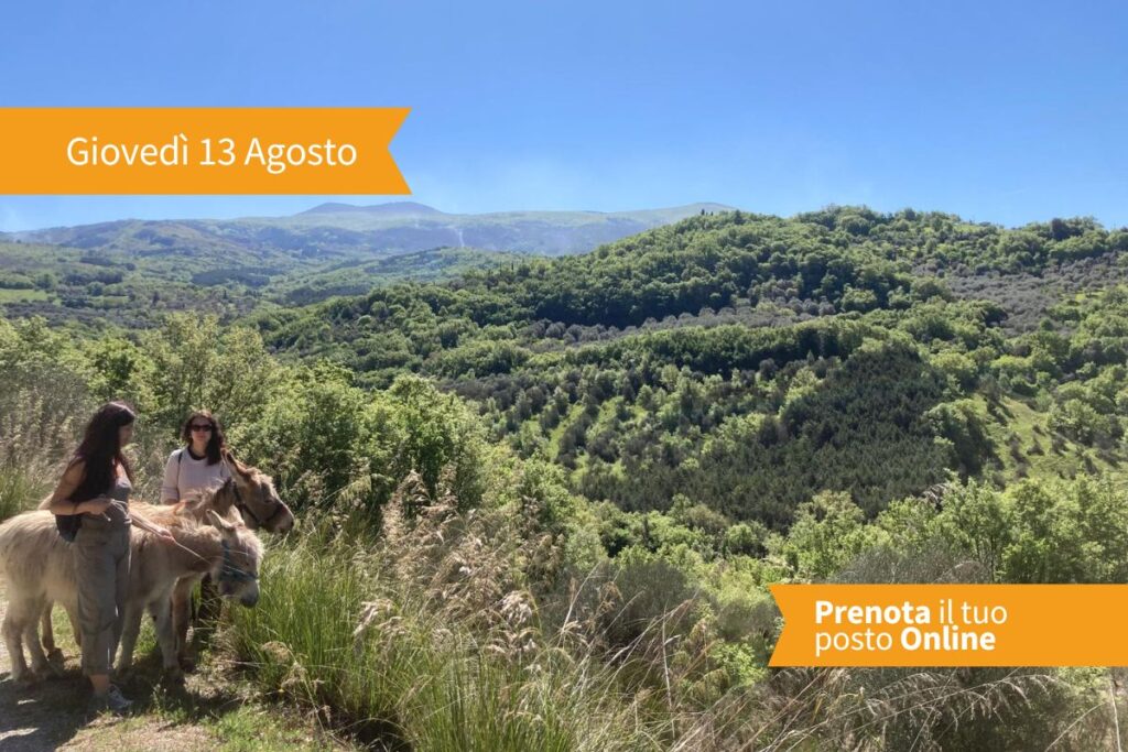Un'esperienza intima e autentica nel cuore di Seggiano, pensata per chi desidera vivere il Monte Amiata attraverso lincontro diretto con un produttore locale. Ogni giovedi' sera Carlo apre le porte d...