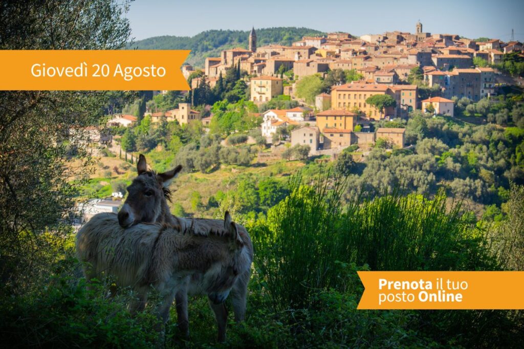 Un'esperienza intima e autentica nel cuore di Seggiano, pensata per chi desidera vivere il Monte Amiata attraverso lincontro diretto con un produttore locale. Ogni giovedi' sera Carlo apre le porte d...